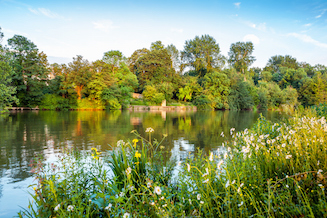 iStock-537347465; Thames flowers